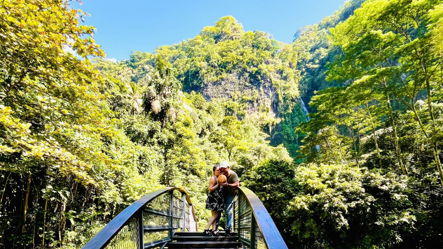 leo chat pont tahiti